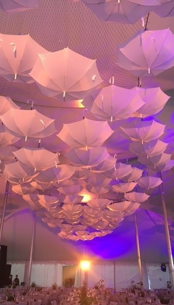 Umbrellas hanging from tent ceiling